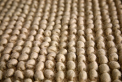carpet65281728.jpg