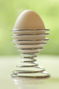 egg27378037.jpg