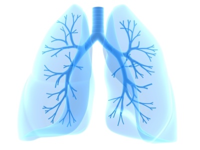 lungs.jpg