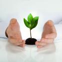 greenbusiness_6019312.jpg