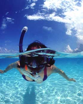 snorkeling-cayman-islands.jpg