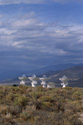 telescopes30495725.jpg